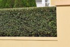 Bulla NSWhard-landscaping-surfaces-8.jpg; ?>